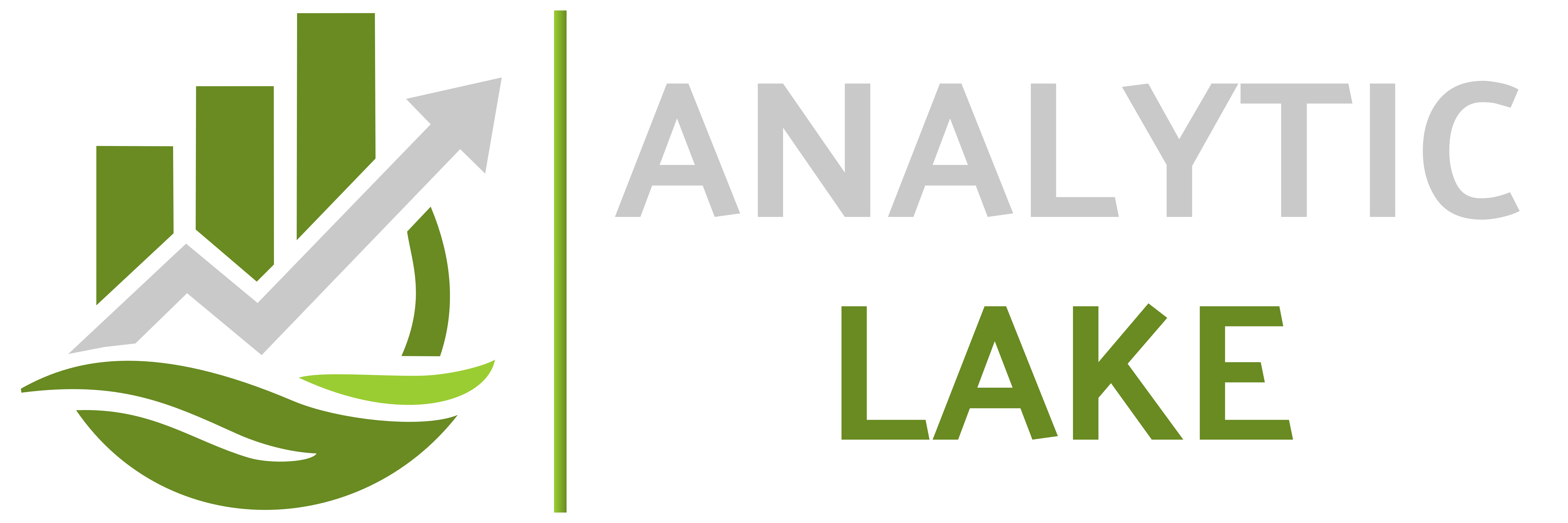 Analytic Lake logo